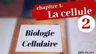 Chapitre 1  La cellule  les eucaryotes [upl. by Einej522]