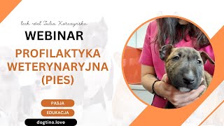 DARMOWY WEBINAR  profilaktyka weterynaryjna psy [upl. by Doralia]