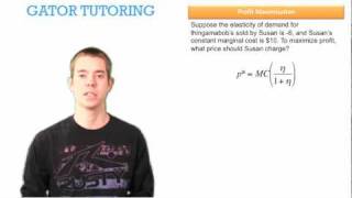 Managerial Economics ECP3703 Profit Maximization [upl. by Girhiny]