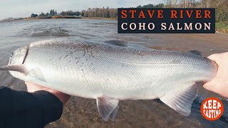 STAVE RIVER COHO — Casting Spoons and Spinners for Coho and Chum Salmon  Mission BC [upl. by Adahsar759]