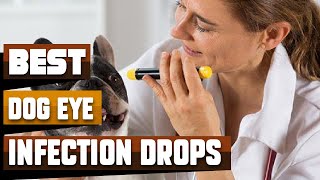 Best Dog Eye Infection Drop In 2024  Top 10 Dog Eye Infection Drops Review [upl. by Hertha]