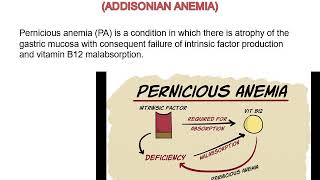 Megaloblastic anemia By Dr Mona Aslan [upl. by Hameean]