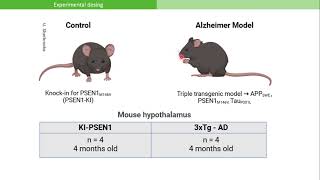 lipid metabolism associated genes in gvu hypothalamus scrna seq in mouse model [upl. by Zebulon]