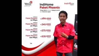 Indihome Paket Phoenix No Jumpscare ┃Good Video┃ [upl. by Norma52]