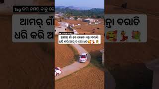 Kebe barati dhari kari ai ba go 😍🌿\ sambalpuri status video  sambalpuri song shortvideo dance [upl. by Lateehs]