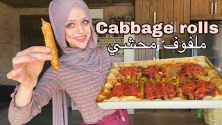 Cabbage Rolls  Crispy Cabbage Rolls Recipe  Fried Cabbage Roll  Toasted [upl. by Zackariah]