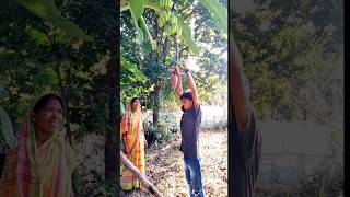 केले के फुल कि सब्जी  Village Life Vlog  Village Cooking [upl. by Eliga]