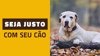 Não seja INJUSTO com seu cão [upl. by Palila]