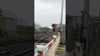 197020 at Ferryside Level Crossing 291024 [upl. by Pren423]