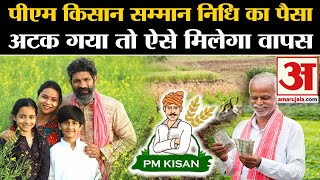 PM Kisan Samman Nidhi 17th Installment अटक गया पैसा तो ऐसे मिलेगा वापस  Kisan Samman Nidhi Yojana [upl. by Dorie351]