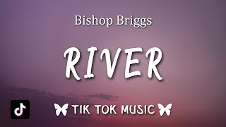 Bishop Briggs  River Lyrics Like a river like a river TikTok Song [upl. by Aia]