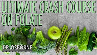 The Ultimate Crash Couse on Folate  Signs amp Symptoms of Deficiency Function Detox amp More [upl. by Obidiah]