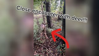 EXTREME CLOSE ENCOUNTER with DEER [upl. by Ylatfen]