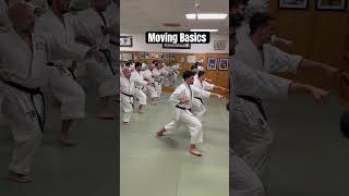 Moving basics karate gojuryu martialarts karateclass [upl. by Lattie]