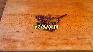 Bass Fishing Baits  How To Fish Ragworm [upl. by Mikes]