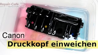 Canon Drucker Druckkopf einweichen Reinigung 1 [upl. by Eneja]