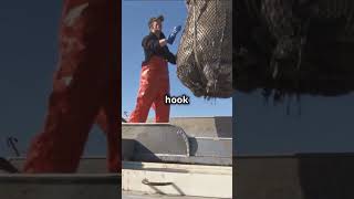 Epic Halibut Fishing Adventure in Homer [upl. by Linneman]