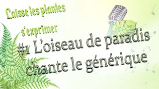 Laisse les plantes sexprimer 1 Loiseau de paradis chante le générique [upl. by Eitsrik]