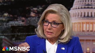 Liz Cheney ‘Rep Mike Johnson was desperate for Donald Trump’s approval’ [upl. by Dranoc]