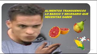 ALIMENTOS TRANSGENICOS TODO LO QUE NECESITAS SABER SOBRE ELLOS [upl. by Vidda]