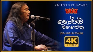 Hopalu Wanapetha LIVE 4K  හෝපළු වනපෙත  Victor Ratnayake  SARASA Nelum Pokuna [upl. by Esylle]