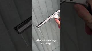 Relaxing window clean windowcleaning smallbusiness satisfying beforeandafter live music yts [upl. by Jeffery]