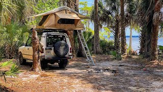 Our Favorite Camp Spot in Ocala National Forest [upl. by Ashby]