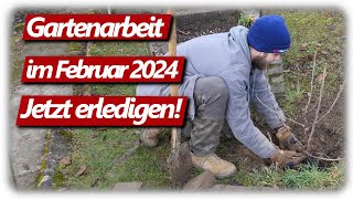 Gartenarbeit Februar  Feigen schneiden Weinreben Gartenplanung Johannisbeeren pflanzen amp düngen [upl. by Vedette339]