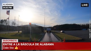 A buscar la carga a Tuscaloosa Alabama [upl. by Nidraj673]