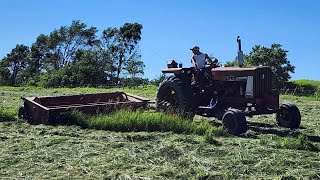 Farmall 656 Mowing 1st Cutting Hay With an Old Hesston Mower [upl. by Sorcha]