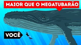 Comparações de Tamanho das Criatura Marinhas Que Farão Você se Sentir Pequeno [upl. by Ailam54]