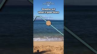 Deep Breathing for Stress 48 [upl. by Brenza]