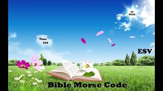 Haggai chapter 2 of 2  BibleMorseCode [upl. by Hplar]