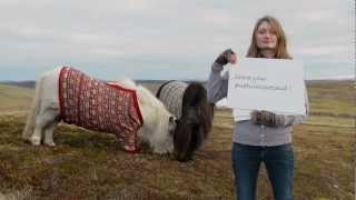 Shetland Ponies  Whats Your Natural Scotland  VisitScotland [upl. by Rhona]