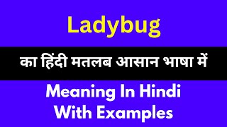 Ladybug meaning in HindiLadybug का अर्थ या मतलब क्या होता है [upl. by Ecniuq]