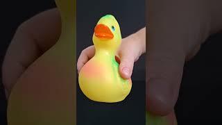 Squeaky toy Duck sounds for Dogs soundsdogslove funny dogsound [upl. by Yentyrb]