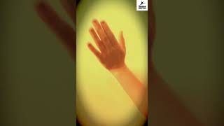 kagaz ke do pankh Hand Movement Dance Video by Rudra Thaker [upl. by Noit463]