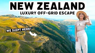 New Zealands Ultimate Escape 100 OffGrid Stay in Wellington [upl. by Yrrehc13]