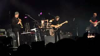 Steve Hackett  Shadow of the Hierophant  5112024 Torino ITALY  Teatro Colosseo [upl. by Heidie]