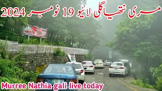 murree live today  murree weather today  nathiagali live today  mall road 2024 snowfall [upl. by Bolen]