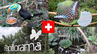 Papiliorama  Swiss Butterfly Garden and more [upl. by Rust81]