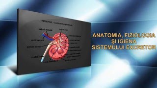 ANATOMIA FIZIOLOGIA ȘI IGIENA SISTEMULUI EXCRETOR [upl. by Esihcoc785]