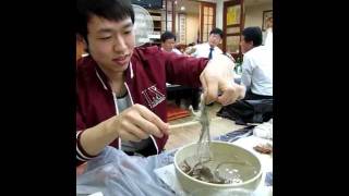 Korean eating living Octopus San Nakji 산낙지 [upl. by Kcirdnekal]