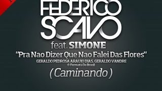 Federico Scavo Ft Simone  Pra nao dizer que nao falei das flores Caminando [upl. by Attenor]