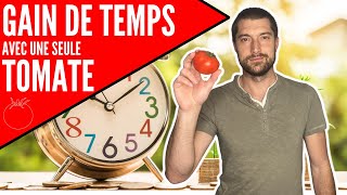 GAGNER DU TEMPS AVEC UNE SEULE TOMATE [upl. by Dymoke]