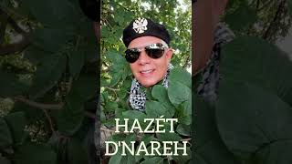 Hazét DNareh  Desahogo Cover [upl. by God]