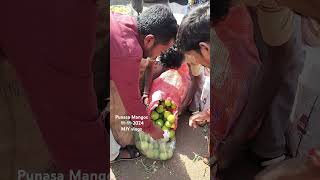 Punasa Mangos Aam Rasalu Mamide bowenpally market trending shortvideo videos vlog food viral [upl. by Siurtemed]