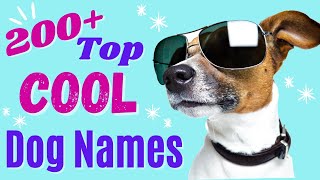 Top 200 COOL Dog Names – Awesome Dog Name Ideas [upl. by Yelnik]