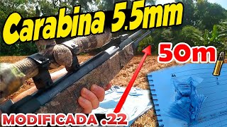 Carabina de pressão 55mm modificada pra munição 22lr Cano fixo disparo 50m [upl. by Atirres599]