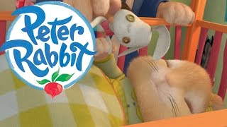 Peter Rabbit  The Radish Robber [upl. by Adlesirg]